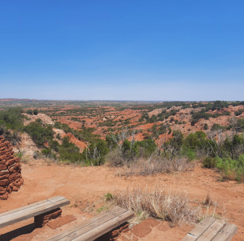A panoramic view of red rock canyons and green vegetation under a clear blue sky. Wooden benches are in the foreground.