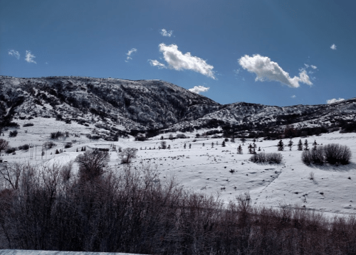Snow-covered mountains under a clear blue sky, with scattered clouds and a foreground of bare trees.