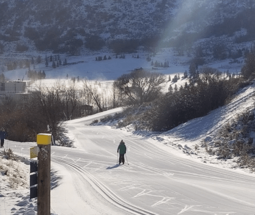 A person skiing on a snowy path surrounded by trees and hills under a clear blue sky.