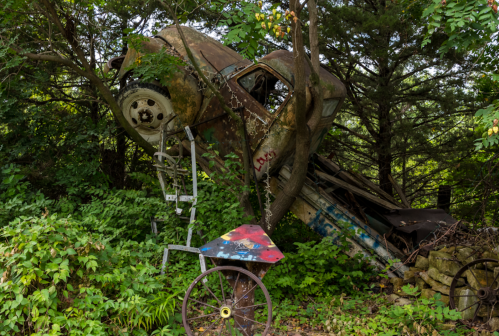 An old, rusted car partially embedded in a tree, surrounded by overgrown greenery and a colorful, abandoned cart nearby.