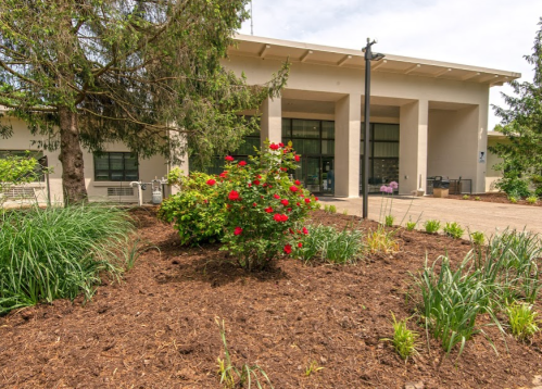 A landscaped area with flowers and greenery in front of a modern building with large windows.