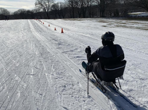 A person in a sit-ski glides down a snowy path lined with orange cones on a clear winter day.