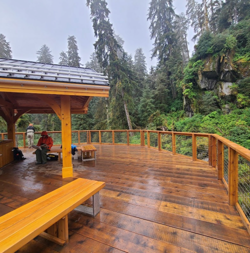 A wooden observation deck surrounded by tall trees and lush greenery, with a person sitting under a shelter.
