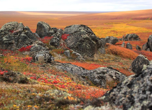 A rocky landscape with vibrant autumn foliage in shades of red and orange, set against a vast, open horizon.