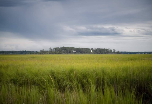 A serene landscape featuring tall green grass, a distant island, and a cloudy sky.