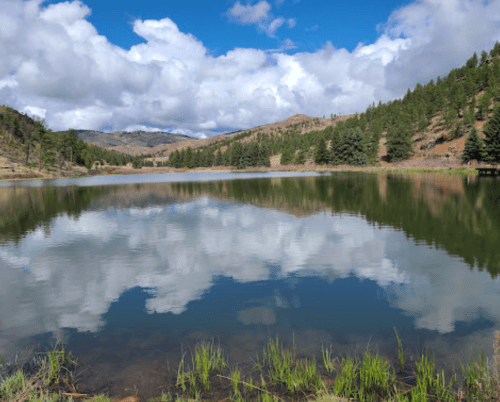 A serene lake reflecting clouds and trees, surrounded by mountains under a blue sky.