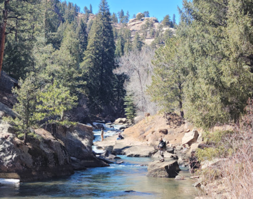 A serene river flows through a rocky landscape, surrounded by tall pine trees and distant hills under a clear blue sky.