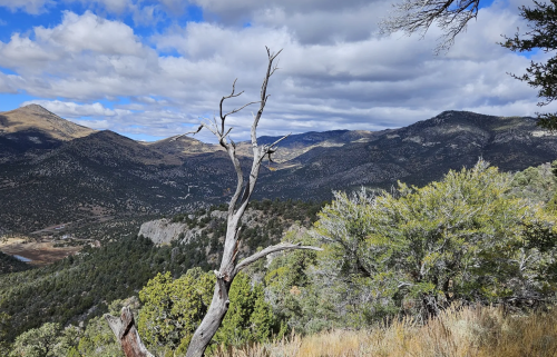 A scenic view of mountains and valleys under a cloudy sky, featuring a dry tree in the foreground.