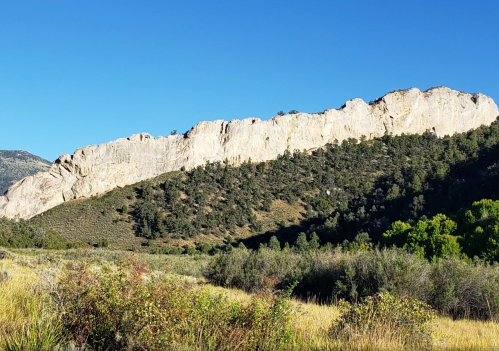 A rocky cliff rises above a green hillside under a clear blue sky, surrounded by trees and shrubs.