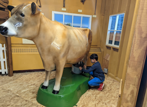 A child milks a life-sized model cow in a rustic indoor setting with wooden walls and windows.