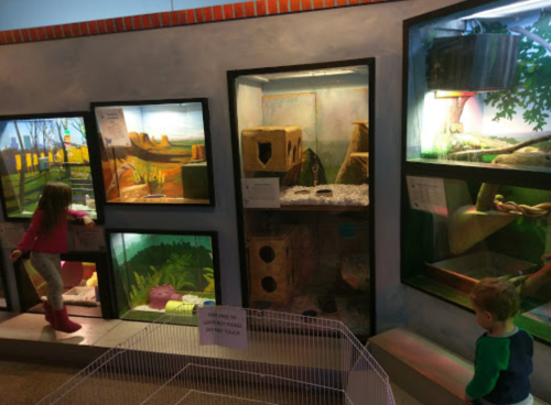 Children explore animal exhibits in a brightly lit room with various enclosures and informational signs.