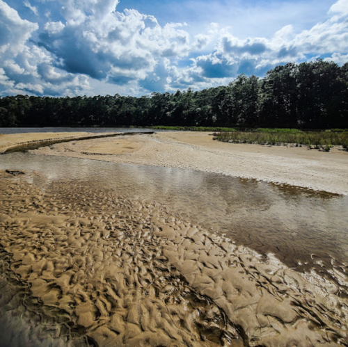 A serene landscape featuring a sandy riverbank, calm water, and a backdrop of lush trees under a cloudy sky.