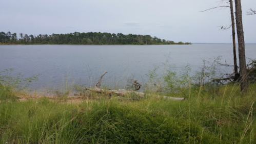 A serene lakeside view with grassy foreground and a distant island surrounded by calm water under a cloudy sky.