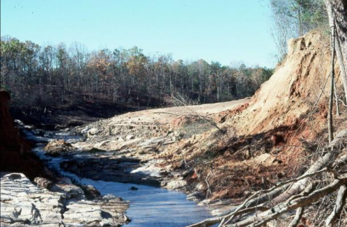 Eroded landscape with a stream, exposed soil, and trees in the background under a clear blue sky.