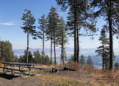 A picnic table surrounded by tall trees, overlooking a scenic valley and distant mountains under a clear blue sky.