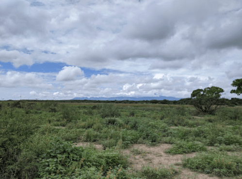 A wide, open landscape with green vegetation under a cloudy sky and distant mountains.