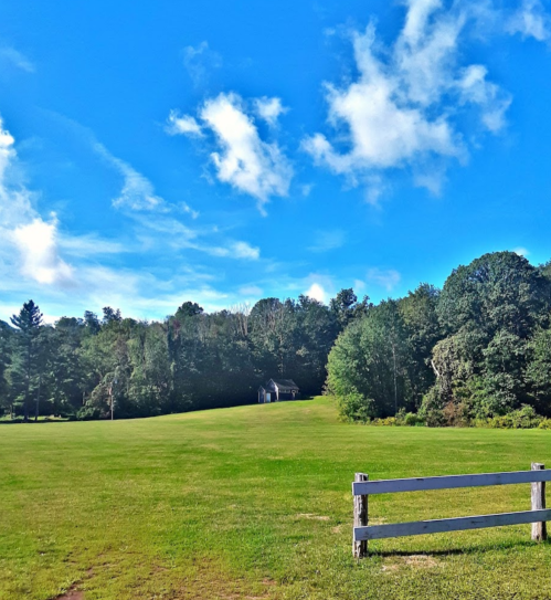 A serene landscape featuring a green field, a small house in the distance, and a clear blue sky with scattered clouds.