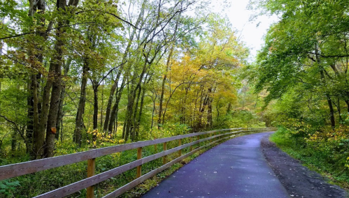 A winding path through a lush, green forest with autumn leaves and a wooden railing on one side.