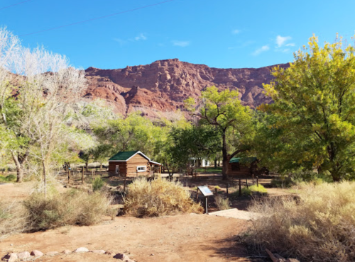 A scenic view of rustic cabins surrounded by trees, with red rock cliffs in the background under a clear blue sky.