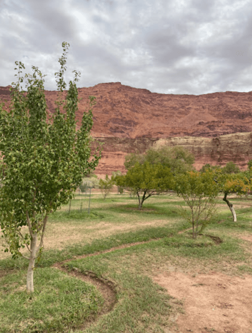 A scenic view of a grassy area with trees, set against a backdrop of red rock cliffs under a cloudy sky.