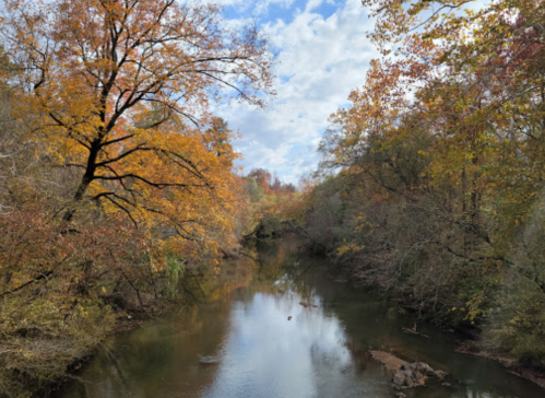 A serene river flows through a forest with vibrant autumn foliage and a cloudy sky above.