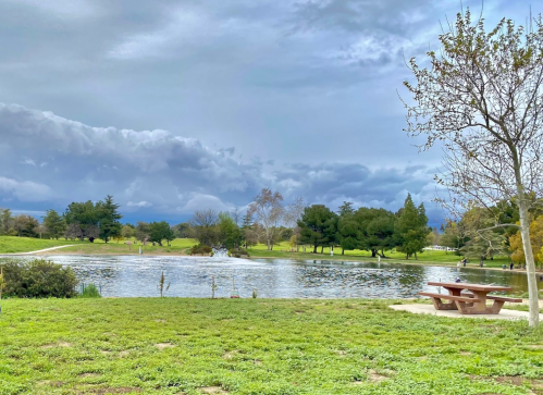 A serene park scene featuring a pond, green grass, trees, and a picnic table under a cloudy sky.