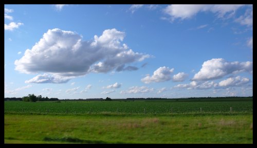 A vast green field under a bright blue sky with fluffy white clouds scattered throughout.