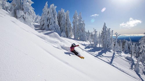 A skier glides down a snowy slope surrounded by tall, snow-covered trees under a clear blue sky.