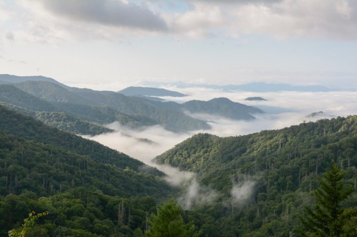 A scenic view of misty mountains with lush green forests and clouds rolling through the valleys under a cloudy sky.