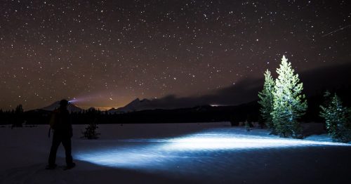 A person stands in a snowy landscape, shining a flashlight on a tree under a starry night sky.