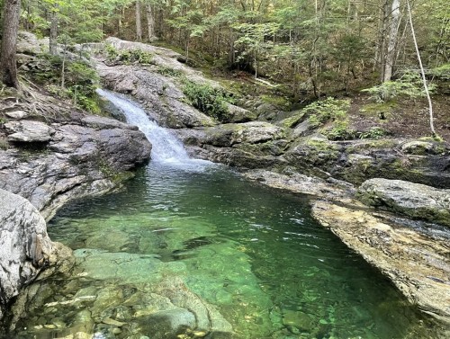 A serene forest scene featuring a small waterfall cascading into a clear, green pool surrounded by rocks and trees.