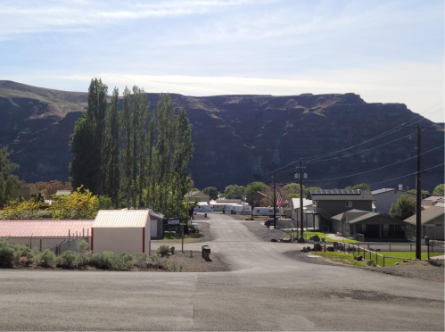 A quiet street lined with trees and houses, with mountains in the background under a clear blue sky.