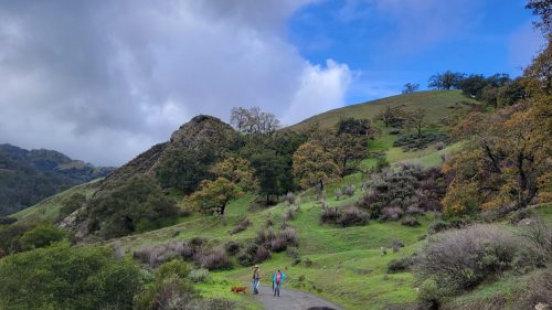 Two people walk along a winding path in a lush green landscape with rolling hills and scattered trees under a blue sky.