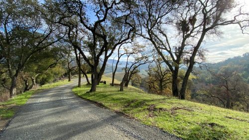 A winding gravel road surrounded by trees, leading to a scenic view of rolling hills and a cloudy sky.