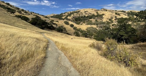 A winding dirt path through golden grasslands and rolling hills under a blue sky with scattered clouds.