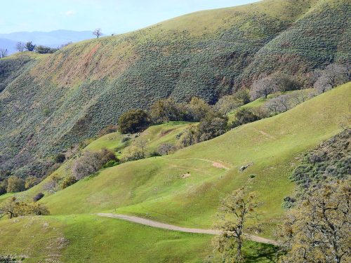 Lush green hills with gentle slopes and scattered trees under a clear blue sky. A winding path cuts through the landscape.