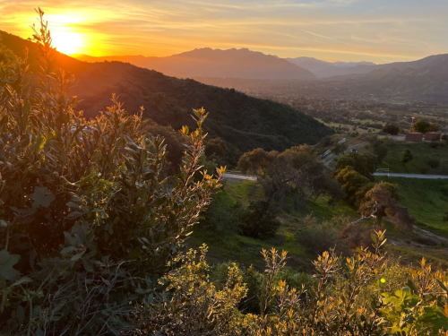 A sunset over rolling hills and mountains, with lush greenery in the foreground and a winding road below.