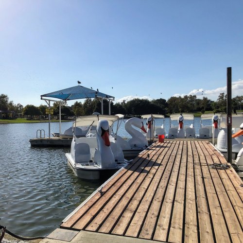 Swan-shaped paddle boats docked by a wooden pier on a sunny day by a lake.