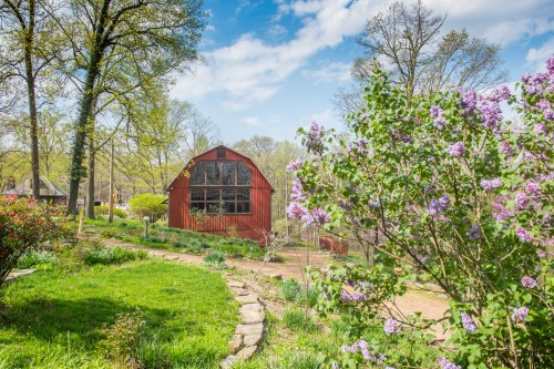A red barn surrounded by lush greenery and blooming lilacs under a blue sky with scattered clouds.