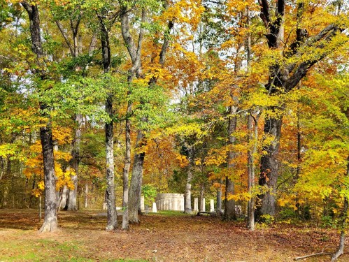 A serene forest scene with vibrant autumn leaves and a stone structure partially visible in the background.