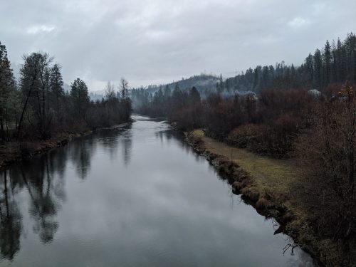 A calm river flows through a misty landscape, surrounded by trees and fog under a cloudy sky.