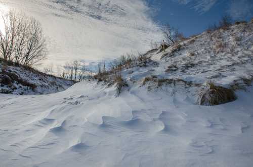 A snowy landscape with gentle hills, sparse trees, and a cloudy blue sky. Snow drifts create soft patterns on the ground.