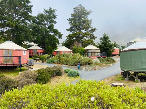 A pathway leads through a cluster of yurts surrounded by greenery and trees in a misty landscape.