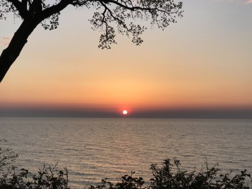 A serene sunset over the ocean, with a silhouette of a tree in the foreground and soft colors in the sky.