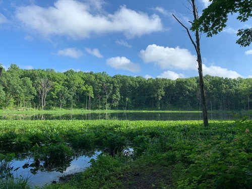 A serene lake surrounded by lush greenery and trees under a partly cloudy sky.
