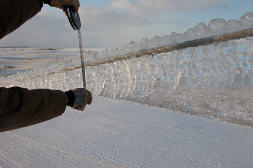 A person measures a long icicle hanging from a wire in a snowy landscape.