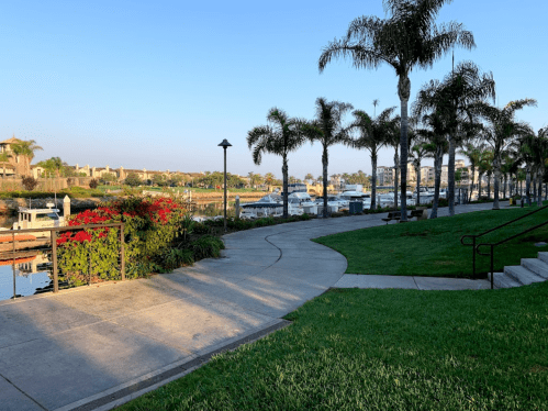 A serene waterfront scene with palm trees, a pathway, and boats docked along the shore under a clear blue sky.