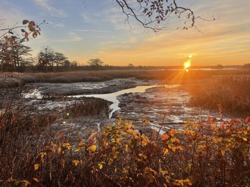 Sunset over a marshland, with golden light reflecting on water and autumn foliage in the foreground.