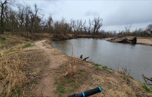 A riverbank scene with a calm water body, bare trees, and a sandy path lined with dry grass under a cloudy sky.