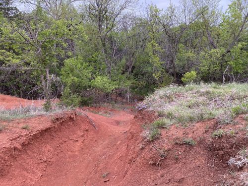 A red dirt path cuts through a green, wooded area, with trees and shrubs lining the sides.